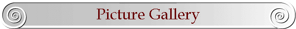 Picture Gallery